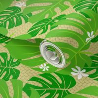 Monstera Tiare Palm Weave horizontal