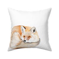 Curled up fox 