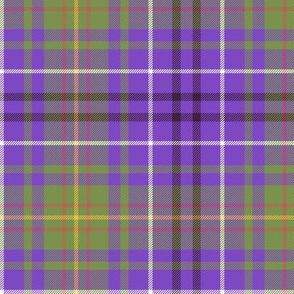 O'Sullivan tartan, 6" purple variant