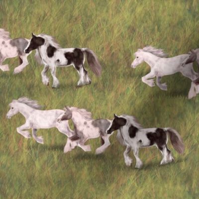 Three Gypsy Vanner Horses