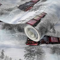 the winter express