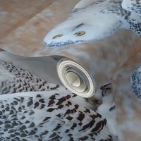 the snowy owl - FQ - potter's world