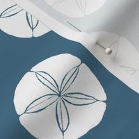 Sand Dollar Med white on denim