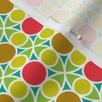 05492525 : R4circlemix : spoonflower0063