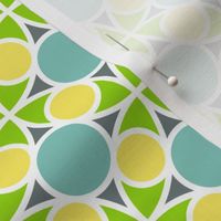 05492529 : R4circlemix : spoonflower0165