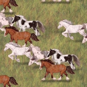 Four Gypsy Vanner Horses