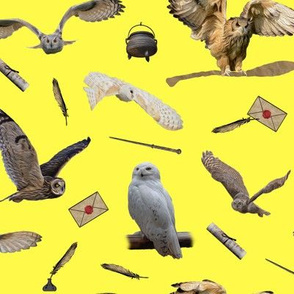 the owls on yellow - small - potter's world 