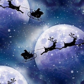 santa's sleigh ride