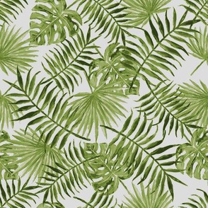 monstera and palm leaves - olive green