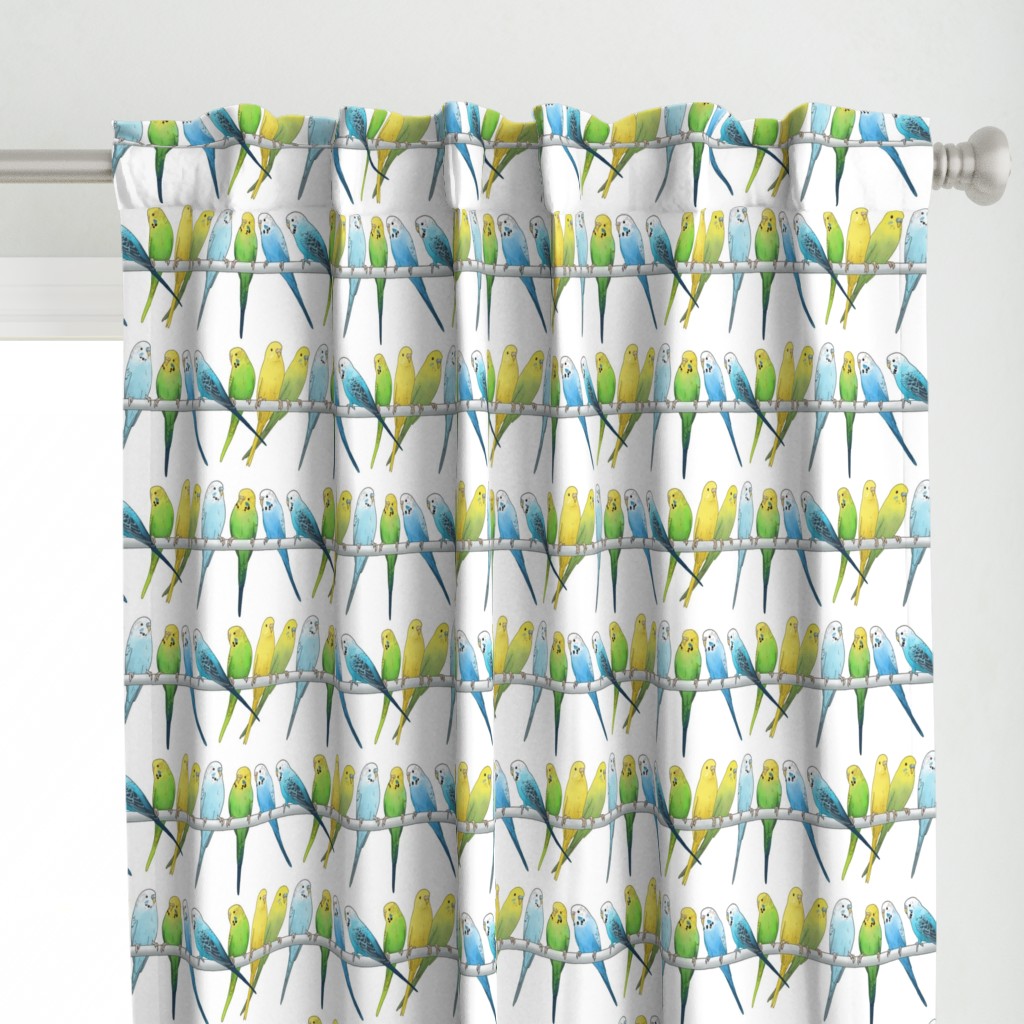 Rows of Colourful Budgies - large scale