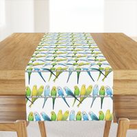 Rows of Colourful Budgies - large scale