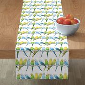 Rows of Colourful Budgies - larger scale
