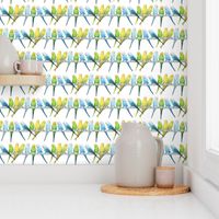 Rows of Colourful Budgies - large scale