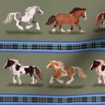 Gypsy Vanner Horse Stripe