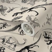 Museum Animals, Dinosaur Skeletons on Cream, Vintage Dinos (405)