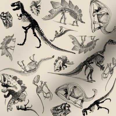 Museum Animals, Dinosaur Skeletons on Cream, Vintage Dinos (405)