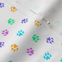 Trotting paw prints - bright confetti