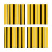 Double Stripes in Yellow and Black