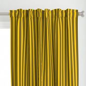 Double Stripes in Yellow and Black