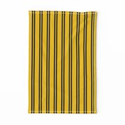 Double Stripes in Yellow and Black