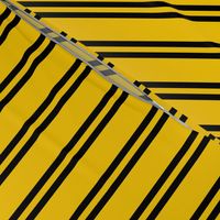 Double Stripes in Yellow and Black