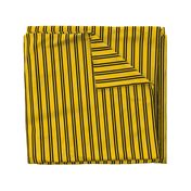 Double Stripes in Yellow and Black