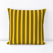 Double Stripes in Yellow and Black