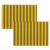 Double Stripes in Yellow and Black