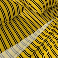 Double Stripes in Yellow and Black