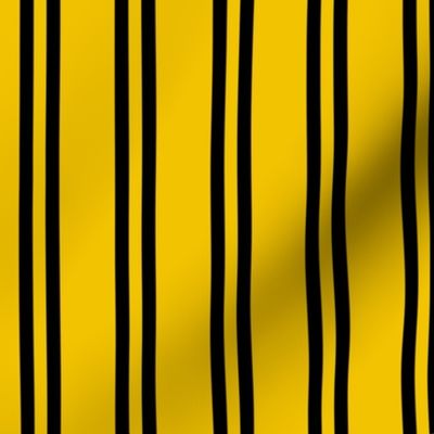 Double Stripes in Yellow and Black