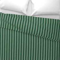 Double Stripes in Green and Grey