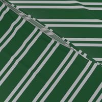 Double Stripes in Green and Grey