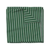 Double Stripes in Green and Grey