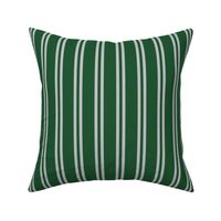 Double Stripes in Green and Grey