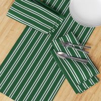 Double Stripes in Green and Grey