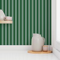 Double Stripes in Green and Grey