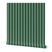 Double Stripes in Green and Grey