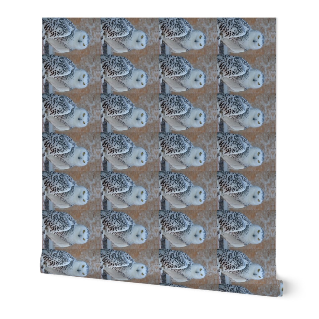 snowy owl - tea towel - potter's world