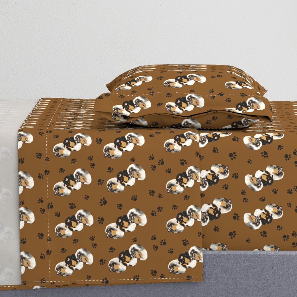 Collies with a Tan Background with paw prints