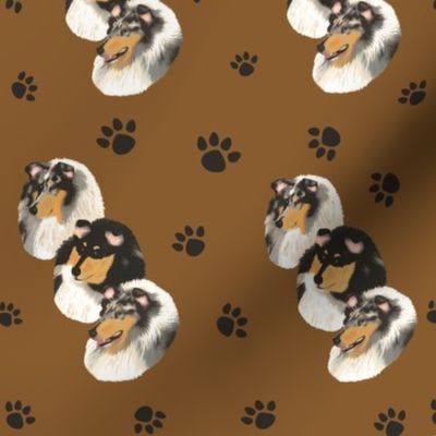 Collies with a Tan Background with paw prints