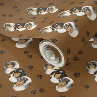 Collies with a Tan Background with paw prints