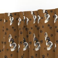 Collies with a Tan Background with paw prints