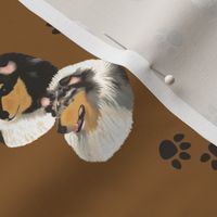 Collies with a Tan Background with paw prints