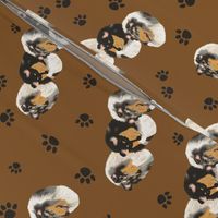 Collies with a Tan Background with paw prints