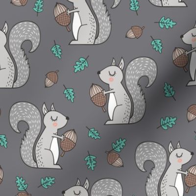 Forest Squirrel Squirrels with Leaves &  Acorn Autumn Fall on Dark Grey