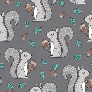 Forest Squirrel Squirrels with Leaves &  Acorn Autumn Fall on Dark Grey