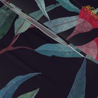 Eucalyptus leaves and flowers