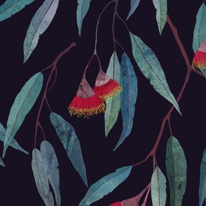 Eucalyptus leaves and flowers