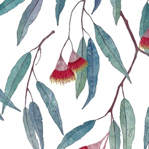 Eucalyptus leaves and flowers