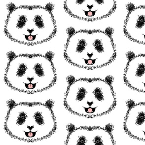 Panda, white background